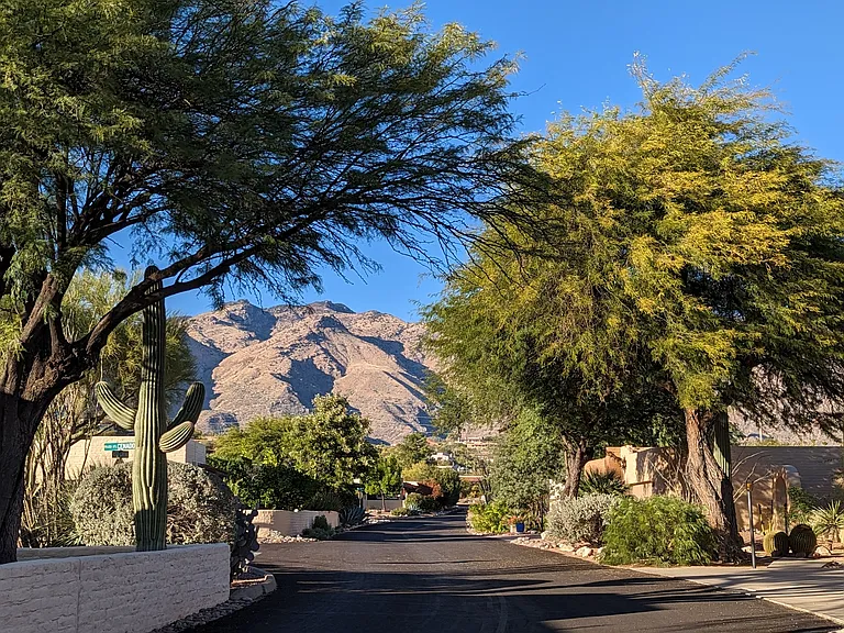 5282 N Paseo Del Arenal — Photo 29