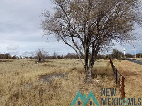 S Clayton Extension Tract Tract 5-A, Clayton, NM 88415