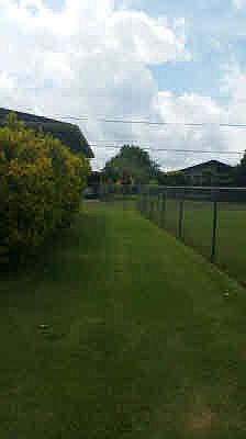 3rd image of 4390 Aalona St