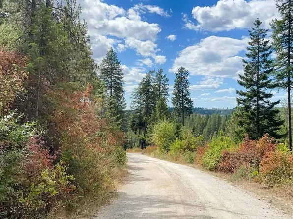 11618 N Dusty Ln, Chattaroy, WA 99003
