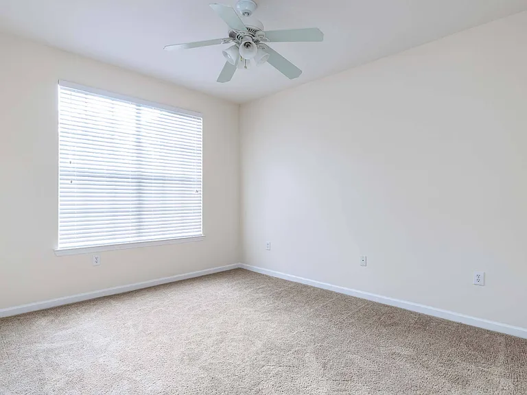 Discovery Palms — Photo 41
