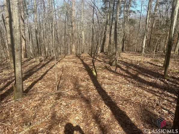 0 Bud Freeman Road, Royston, GA 30662