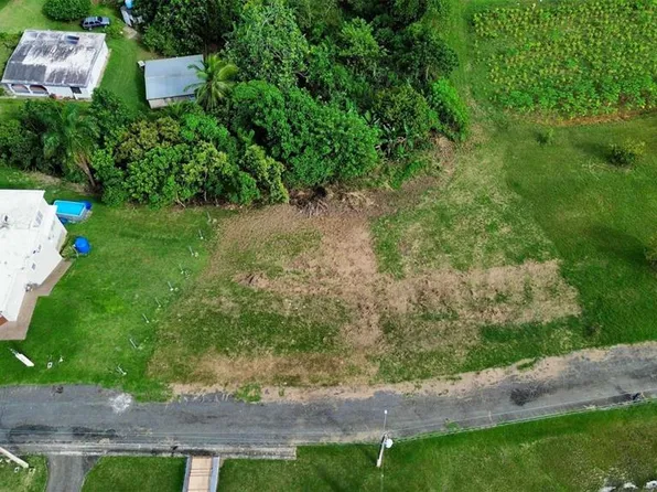 Bo Robles Parcela #7, San Sebastian, PR 00685