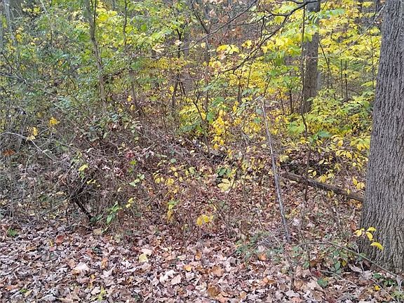 5th image of 61000 Bolar Rd