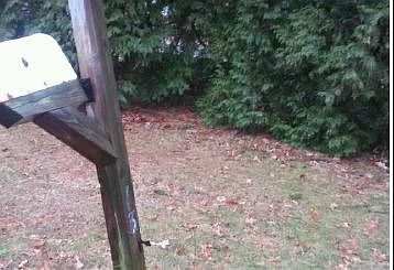 4th image of 137 Radio Ave