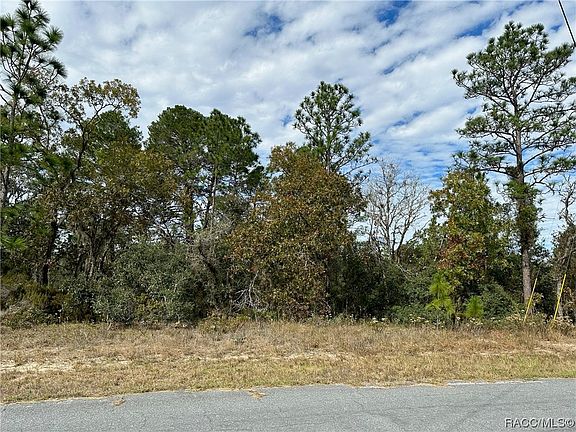 4th image of 2937 W Santana Dr