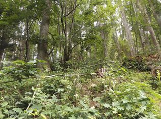 Chalet Dr, Fancy Gap, VA 24328