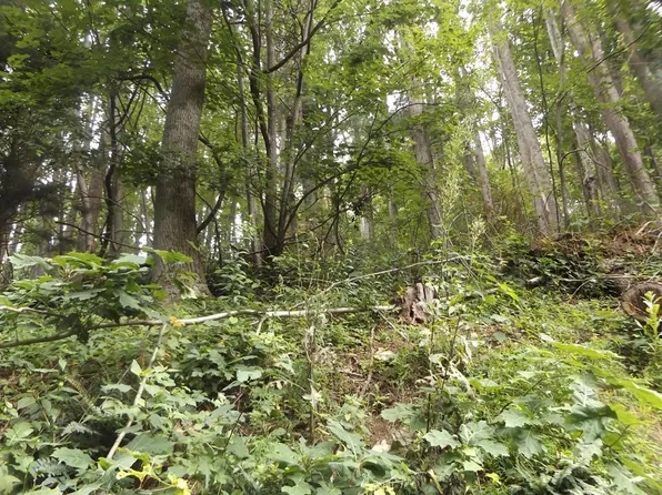 Chalet Dr, Fancy Gap, VA 24328