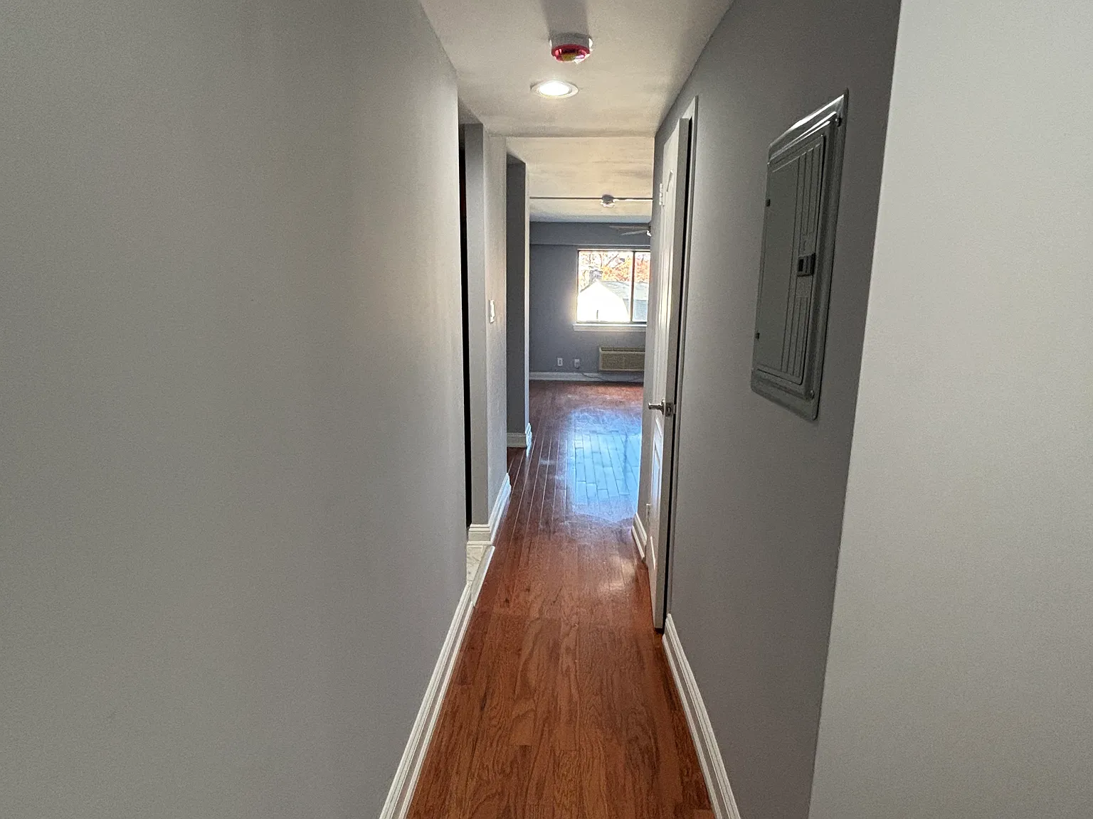 Studio, 450 sqft, $1,699 — Photo 4