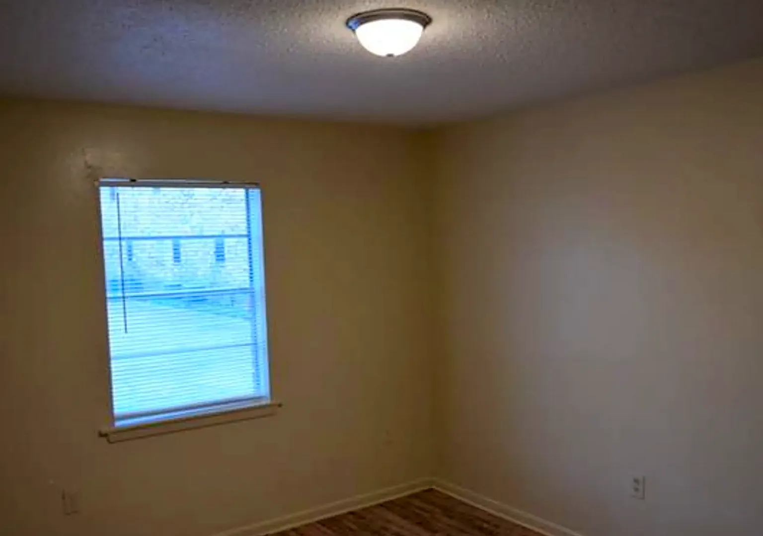 Y A Tittle Avenue — Photo 4