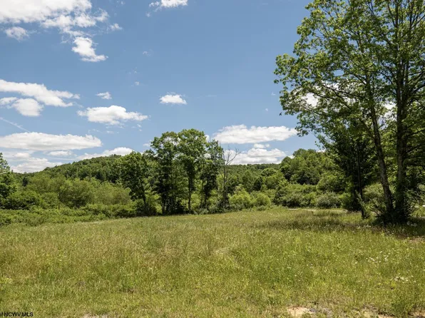 LOT 2 Lake Island Dr, Belington, WV 26250