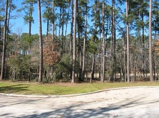 310 Greypine W, Montgomery, TX 77356