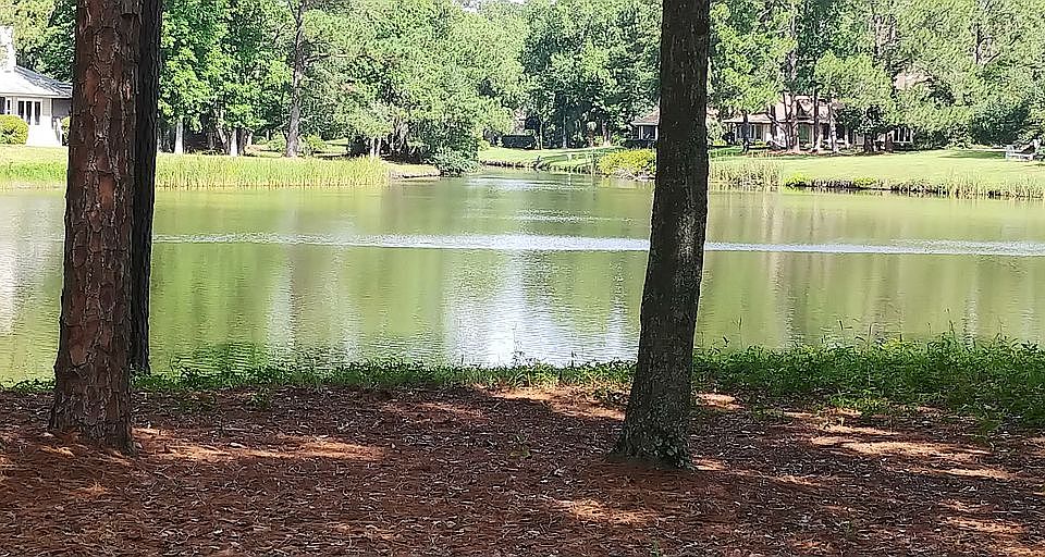 Beautiful backyard view!