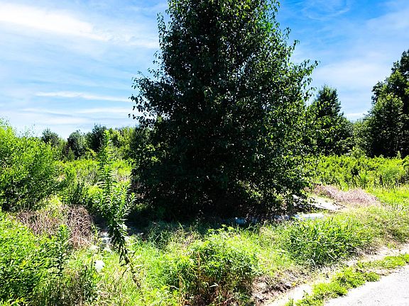 4th image of 32 Mill Creek Dr