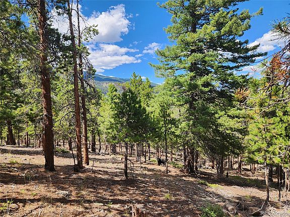 2nd image of 30328 National Forest Drive LOT 23