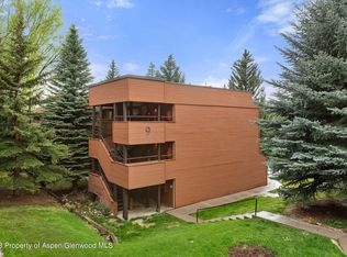 951 Vine St, Aspen, CO 81611