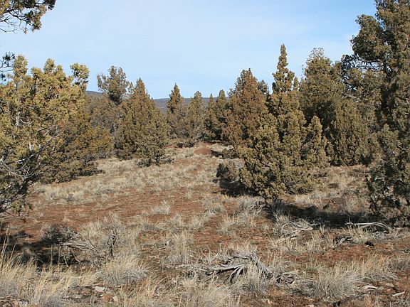 3rd image of 18167 SE Zaltana Dr