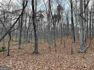 158 Foggy Bottom Dr, Carrollton, GA, 30116