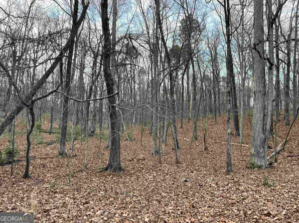 158 Foggy Bottom Dr, Carrollton, GA 30116