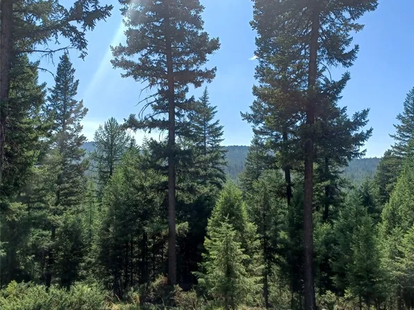 2205 Jim Creek Rd, Trego, MT 59934