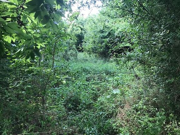 2nd image of 3603 Wellspring Lake Dr