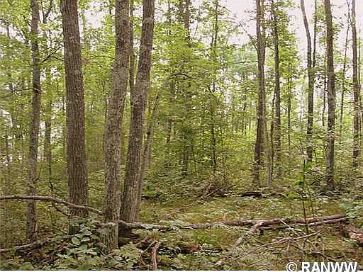 2nd image of Lot 14 Tanglewood Parkway