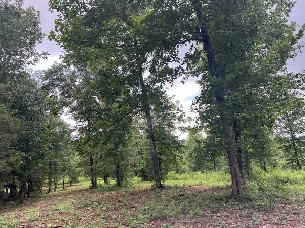 0 Henry Harris Rd Lot 1, Westmoreland, TN 37186