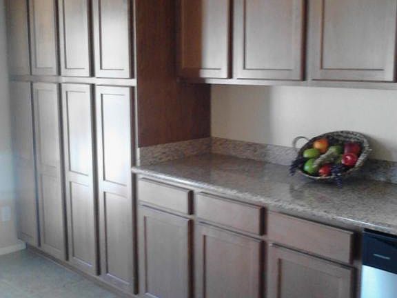 3rd image of 1841 N Saffron Cir
