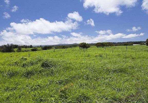 2nd image of Akoni Pule Hwy Lot 351