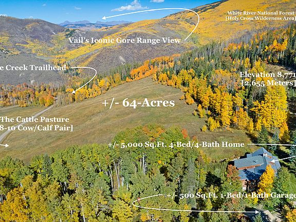 2nd image of 4024 W Lake Creek Dr