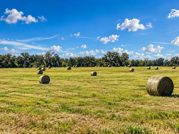 MONDON HILL ROAD, BROOKSVILLE, FL 34601