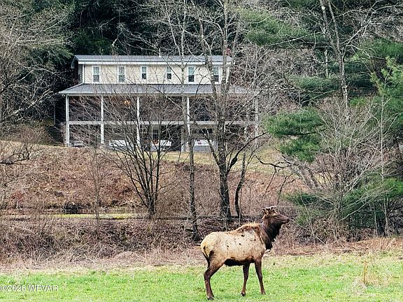 2nd image of 2066 First Fork Rd