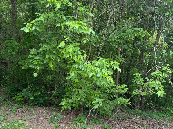Neth Dr, Johnson City, TN 37601