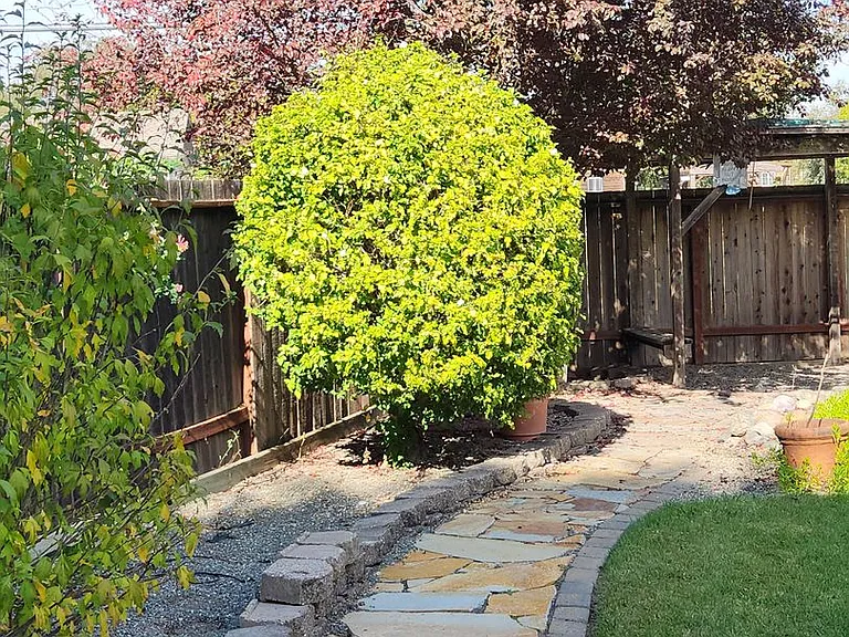 107 Leafy Glade Pl — Photo 21