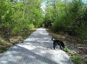 Easy access to Railtrail