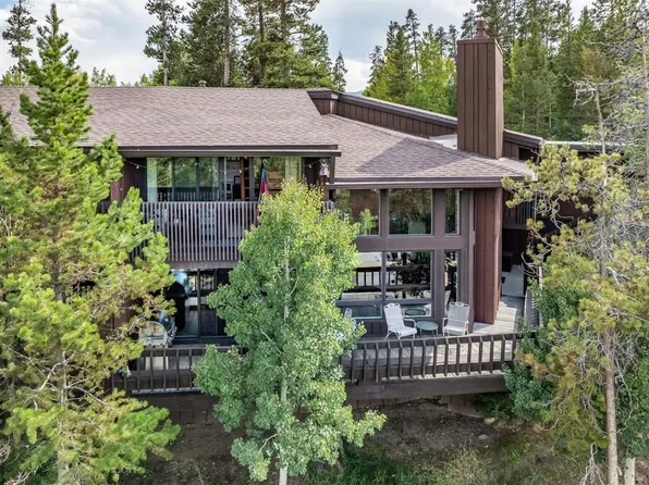 51 Salt Lick Cir #51, Silverthorne, CO 80498