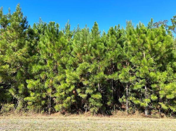 4.588 Ac LOT 7-D, Cottonwood, AL 36320