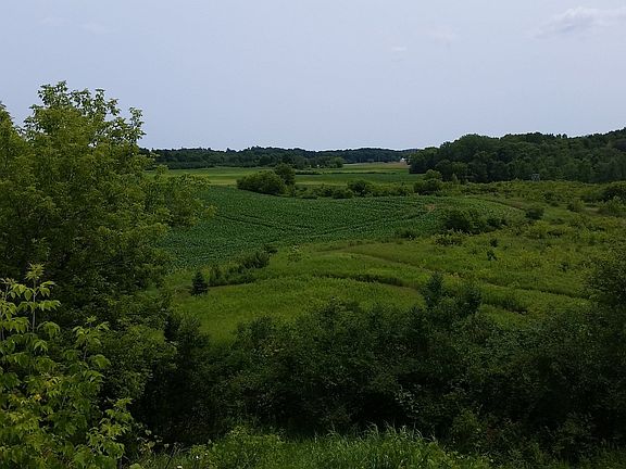 View from Deck