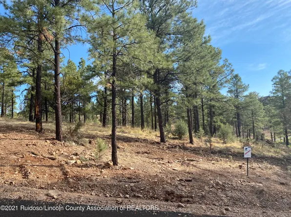 L19d Gene Sarrasin Ct, Alto, NM 88312