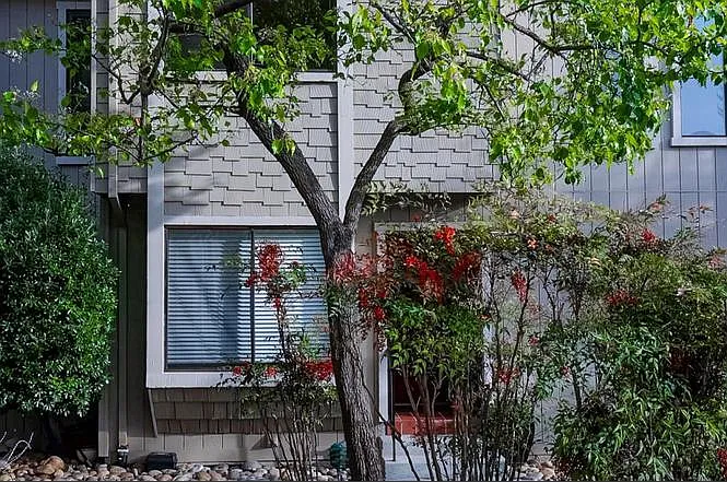 Channing Ave — Photo 2