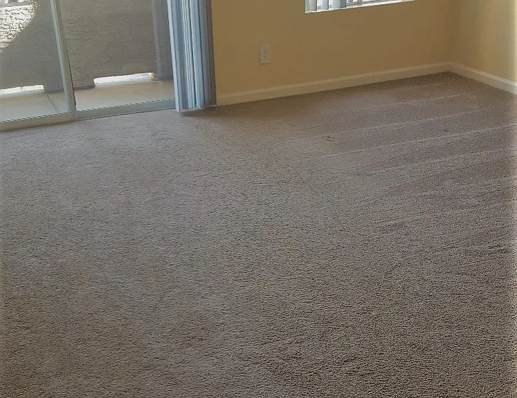 1980 Las Colinas Cir — Photo 11