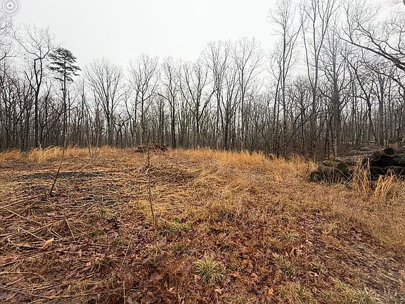 4th image of 551 Cliff Park Rd