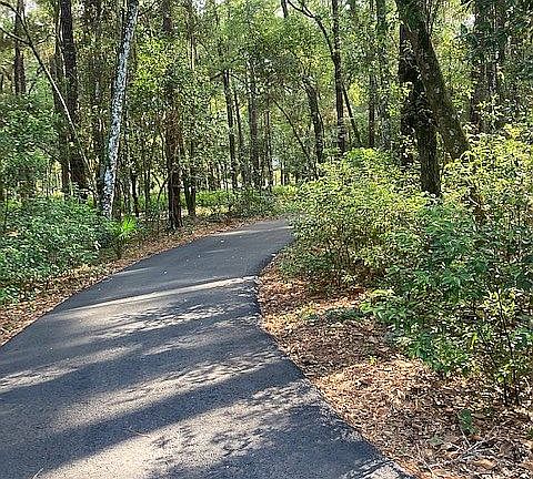 Driveway