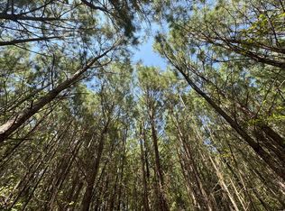 S Terrys Bridge Rd, Scottsburg, VA 24589