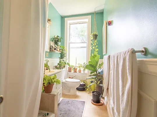 Rented by Daniel Gale Sotheby's International Realty | media 11