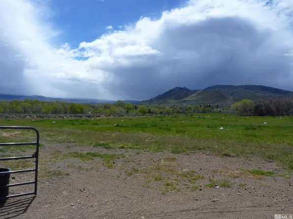 10 Lower Colony Rd, Wellington, NV 89444