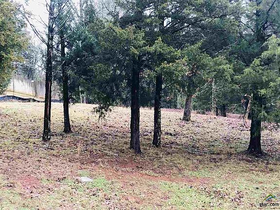 5th image of 130 Lake Lou Ella Dr