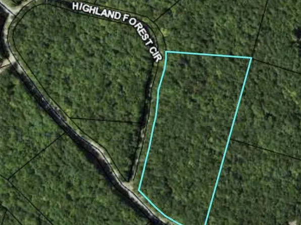 6 Highland Forest Cir #6, Cloudland, GA 30731
