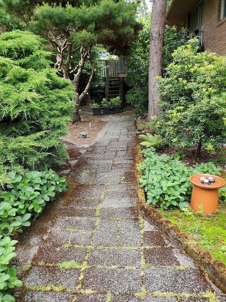 1 bed, 650 sqft, $1,620 — Photo 2