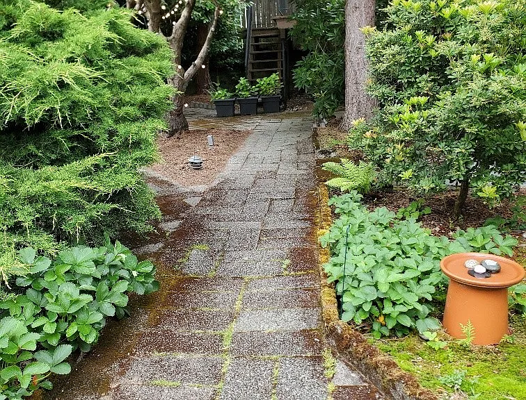 pathway